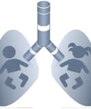 Jose Luis Alonso Gomez