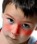 Erin Gabriela Mariscal Porras