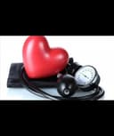 Jose Trinidad Priego Brindis