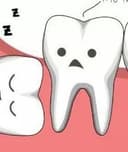 Laura Arguello Guardia