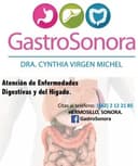 Cynthia Virgen Michel