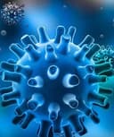 José Angel Pérez López