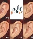 Verónica González Castro