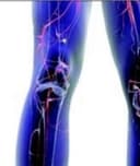 Hector F. Arriola Garcia