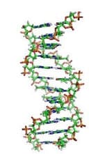 Consolacion Elizondo Aladro