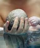 Carlos Castellanos Torres