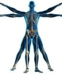 Ramiro Vargas Vázquez