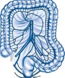 Jose C. Hernandez Amigo