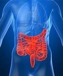 Luis Fernando Orozco Corona