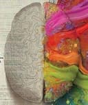 Verónica Loera Neave