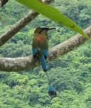 Enrique Martin Del Campo Mena