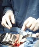 Edgar Francisco Rdz Bracho