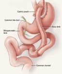 Jorge Lazo De La Vega Espinoza