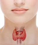 Avril García Dominguez