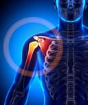 Carlos Alberto Pulido Torres