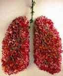 Lorena Rebeca Arce Negrete