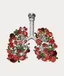 Rocío Ivonne Simental Quinteros