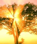 Monica Contreras Lara