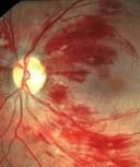 Carlos Dario Cabrera Reyes