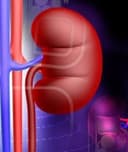 Gloria Rodas Gallegos