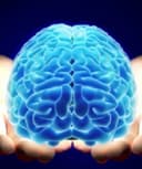 Rene R. Vieytez De la Cruz