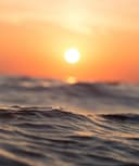 Graciela Orantes Martínez