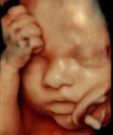 Humberto Acevedo Amarillas