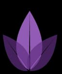 Rita Marcela Rosales Vaca