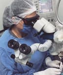 Patricia Dominguez Alvarez