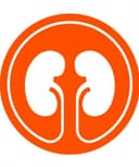 Ivanna Rocha Mercado