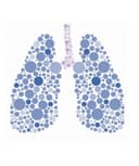 Diana Bautista Herrera