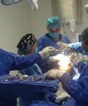 Eduardo Colin Balderas