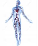 Edgar Renato Calvillo Morales