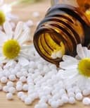 Alejandro Esquivel Torres