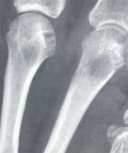 Tania Sánchez Hernández