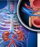 Emilia Cantoral Farfán