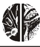 Jesús De Santos Alba