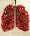 Andrea Colli Domínguez