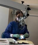 Eva R. Figueiras Morales