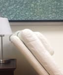 María del Consuelo Osorno Guerra