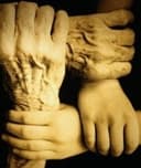 Diana G. Pérez López