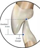 Carmen Santana Méndez