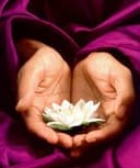 Margarita Castellanos Torres