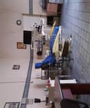 Claudia Cecilia Guerra Domínguez