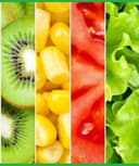 Carla Macrina Viñolas Durán