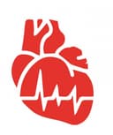 Jesus Enrique Lugo Torres