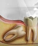 Antonio Vázquez Castillo