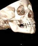 Mauricio González Rebattu y González