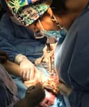 Otilia Gallegos de la Torre