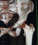 Victor Martínez Delgado